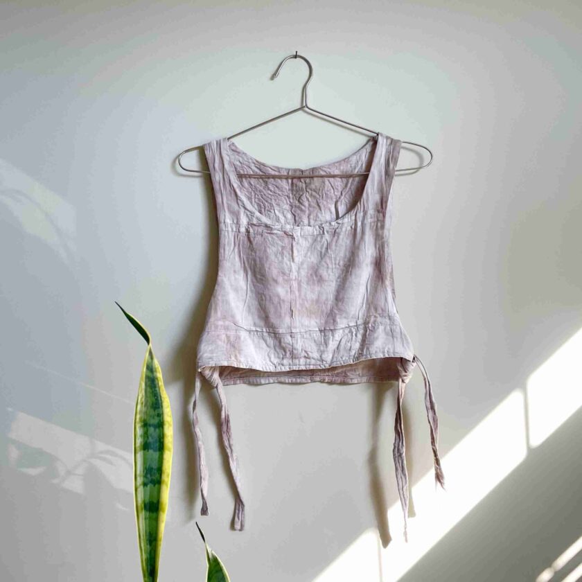 a crop top hanging on a wall next to a plant.